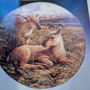 Royal Grafton REINDEER collector plate"Reindeer Young" Polar Wildlife Series